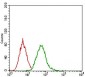 EGFR Antibody